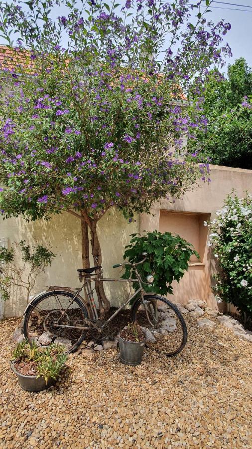 Gites "Tout Au Sud De La France" Pomérols Exteriér fotografie